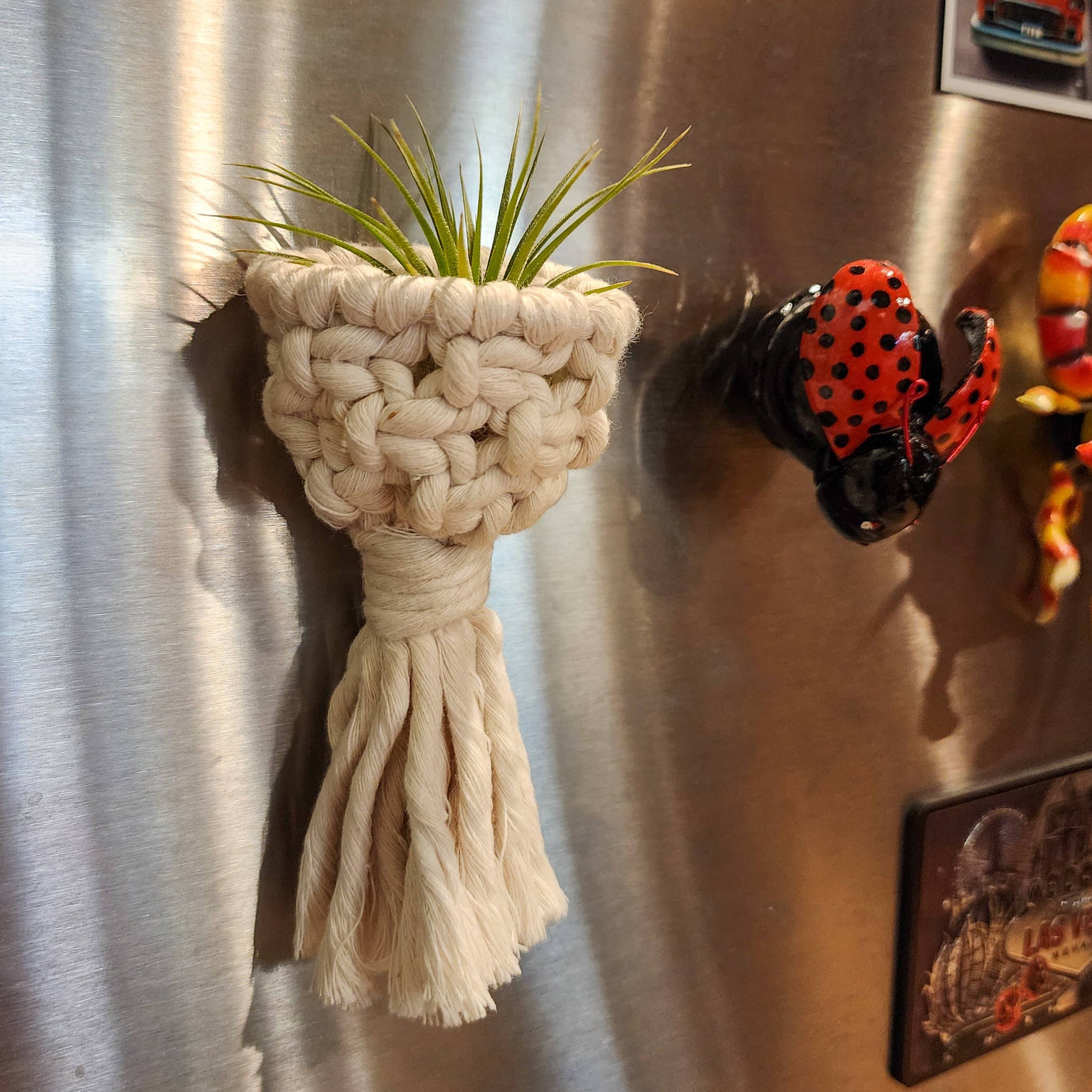 macrame pod plant hanger Macramé Air Plant Holder Fridge Magnets
