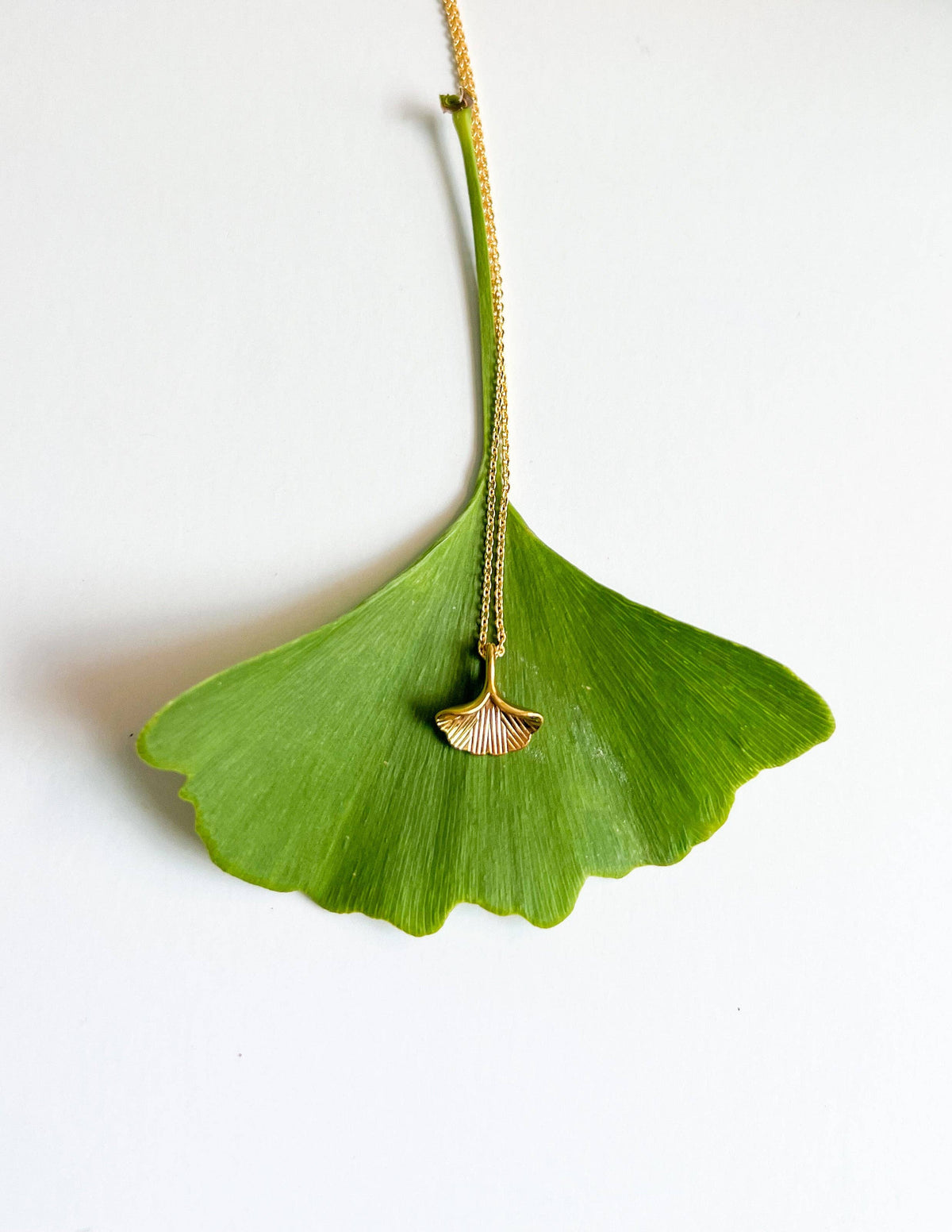 Natalie Clare Collections - Gold Ginkgo Leaf Necklace