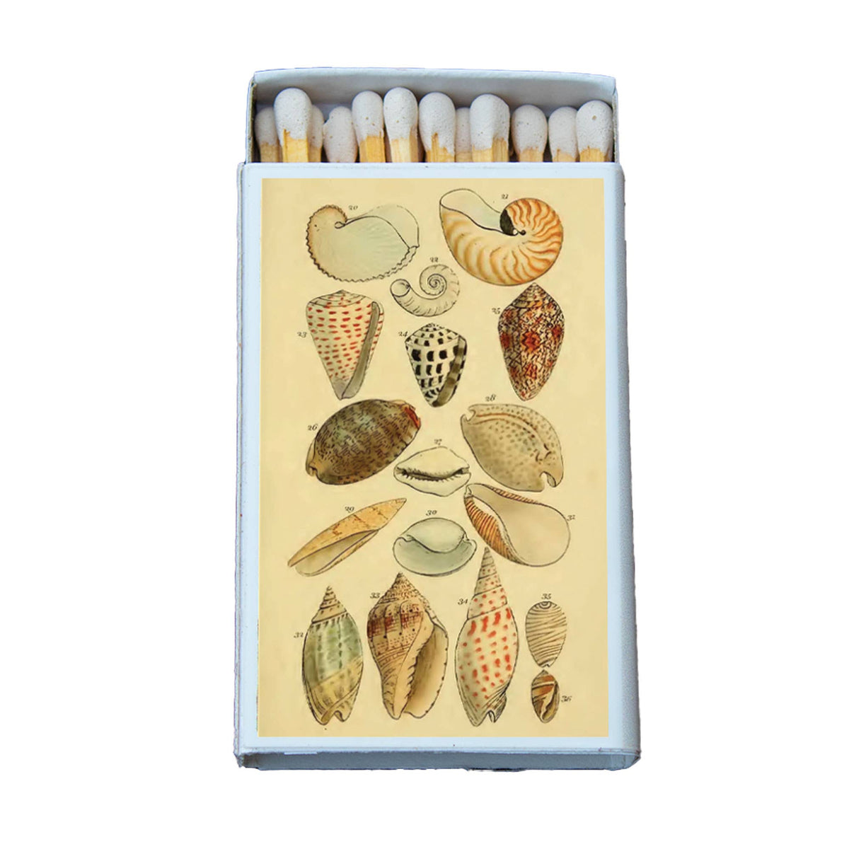 Most Amazing - Matches • Shells Variety • Home Decor for Candles & Incense