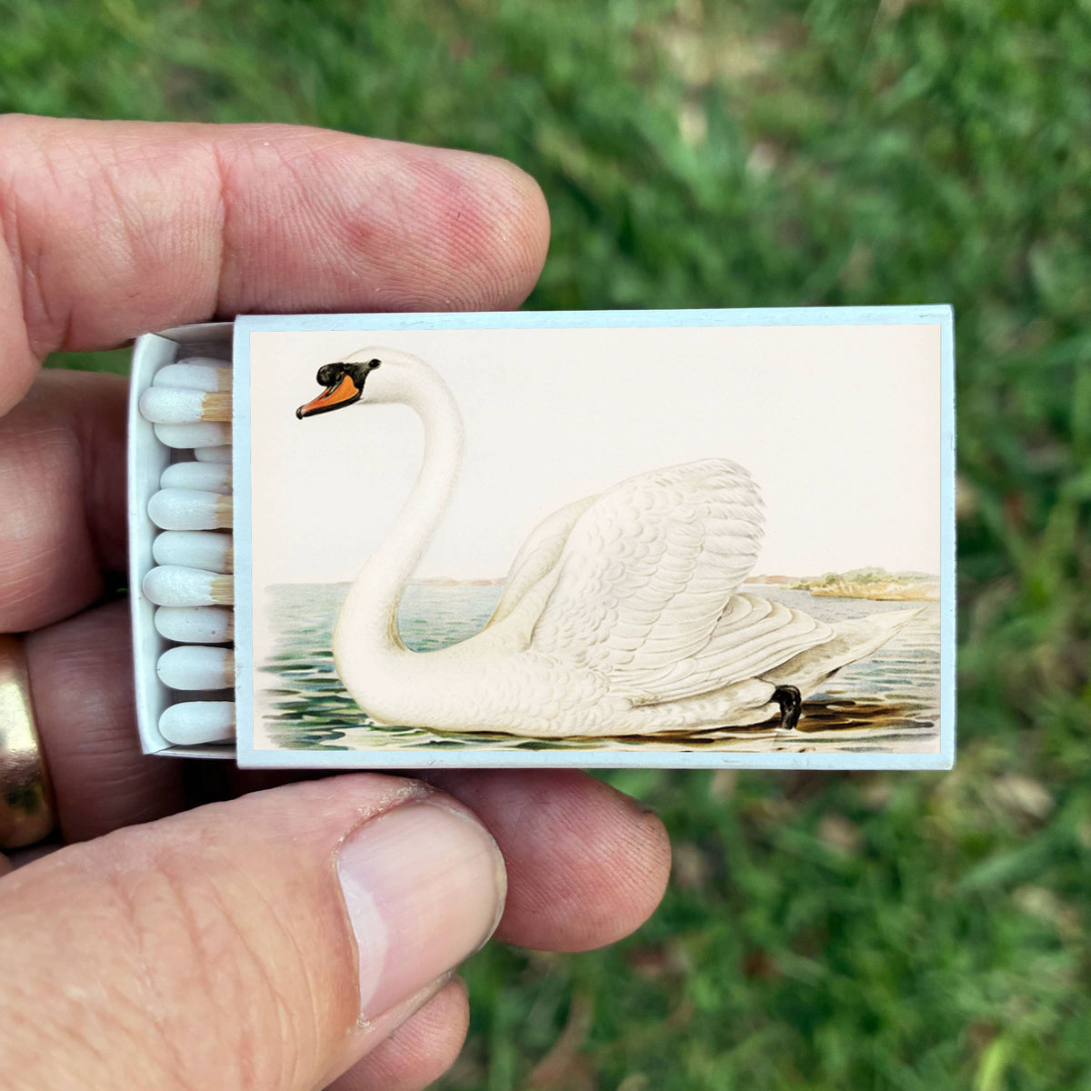 Most Amazing - Matches • Swan Matchboxes • Home Decor for Candles & Incense