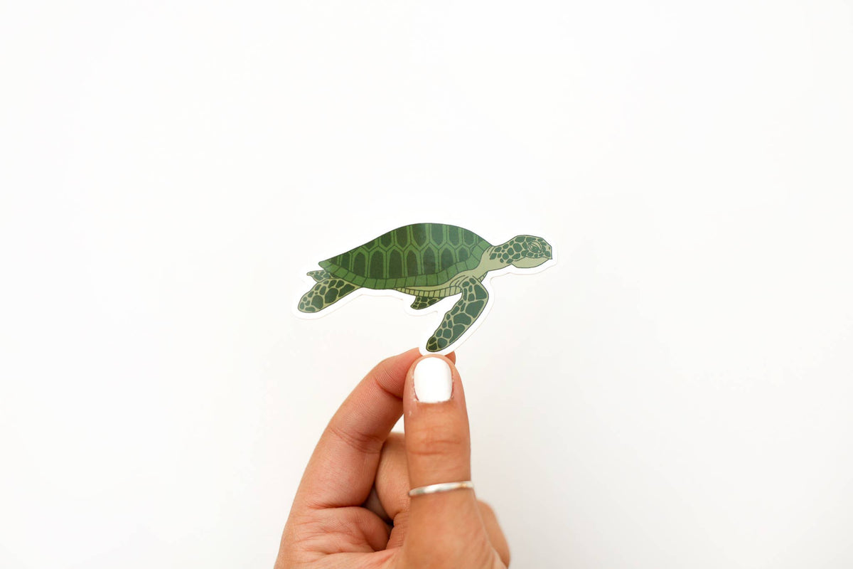 Sea Turtle Sticker