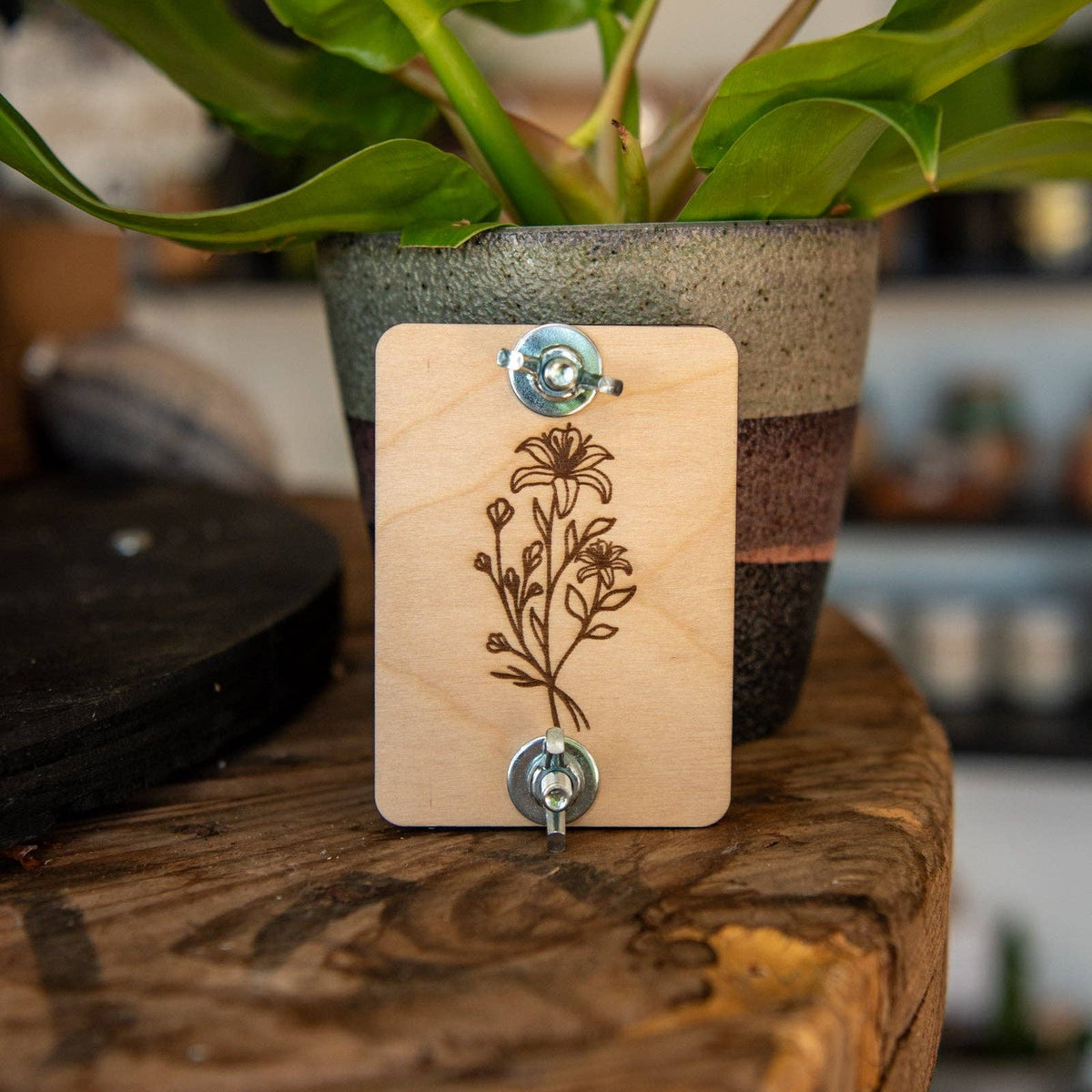Still Magnolia - Pocket Flower Press