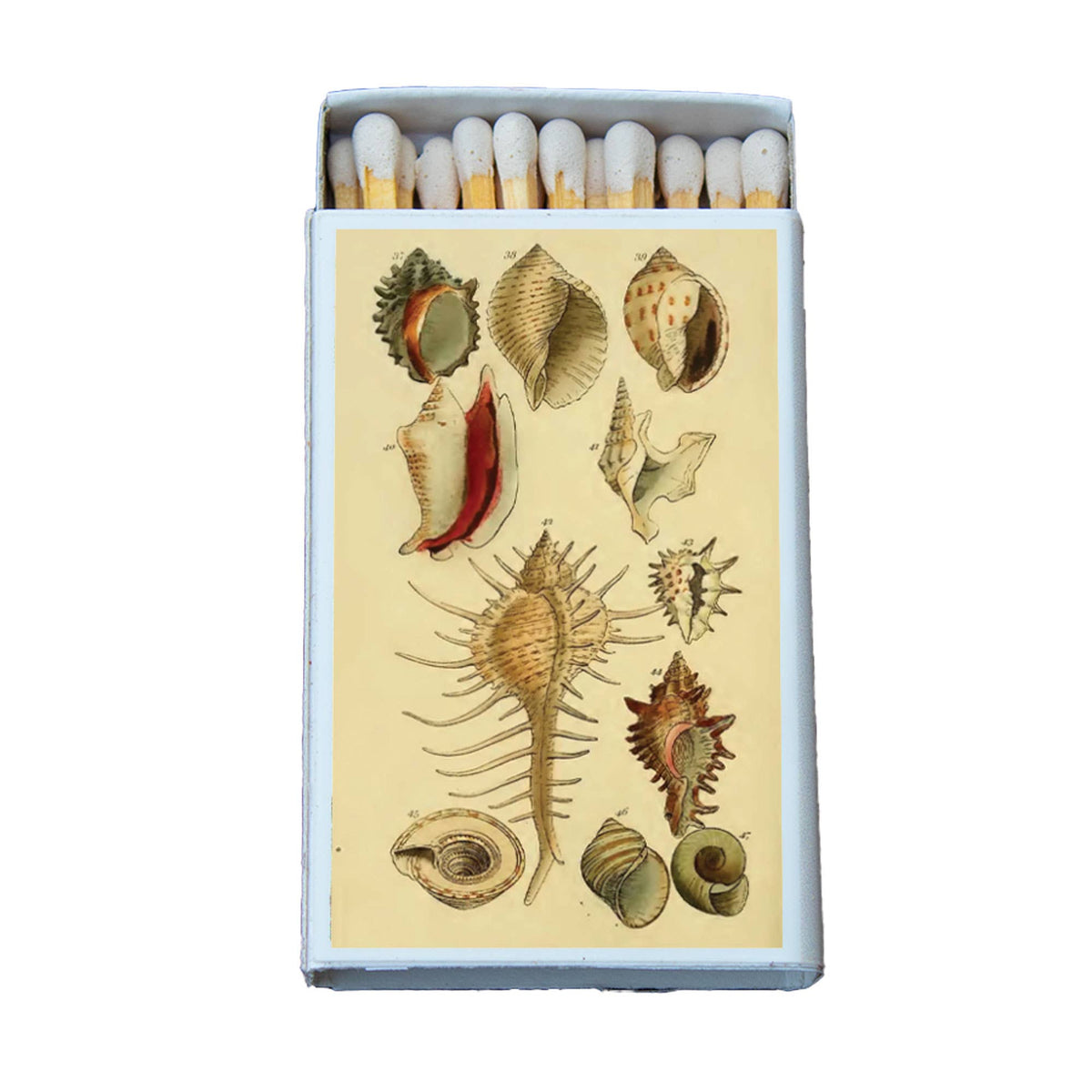 Most Amazing - Matches • Shells Variety • Home Decor for Candles & Incense