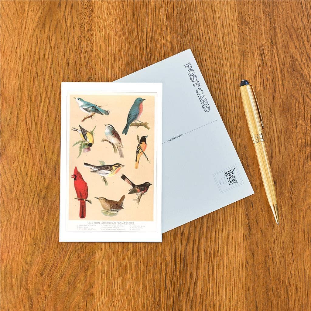 Postcard: Common American Songbirds