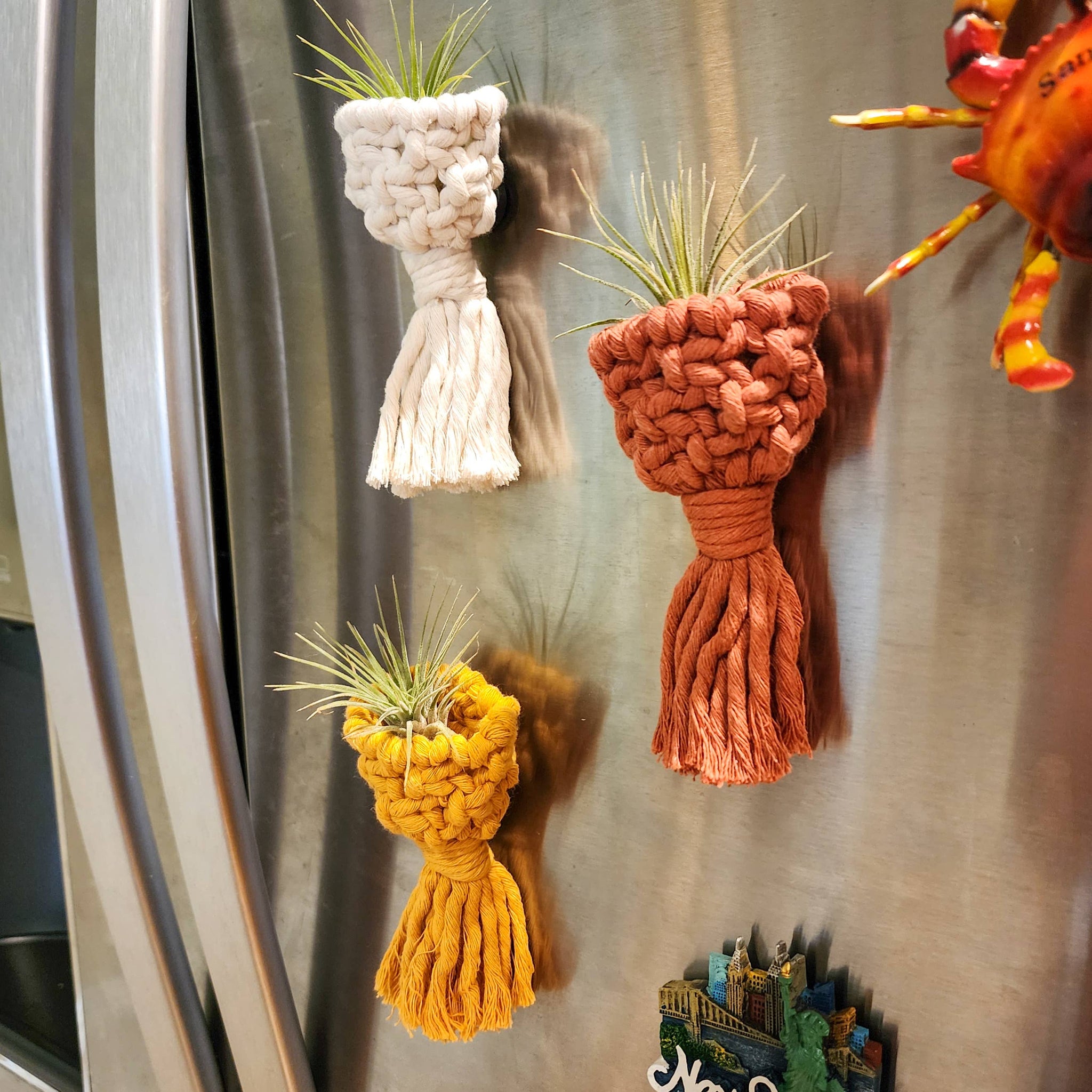 air plant macrame hanger Macramé Air Plant Holder Fridge Magnets