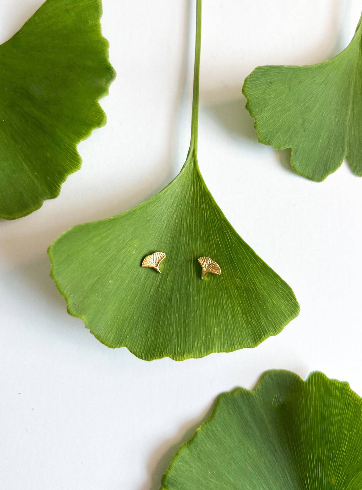 Natalie Clare Collections - Gold Ginkgo Stud Earrings