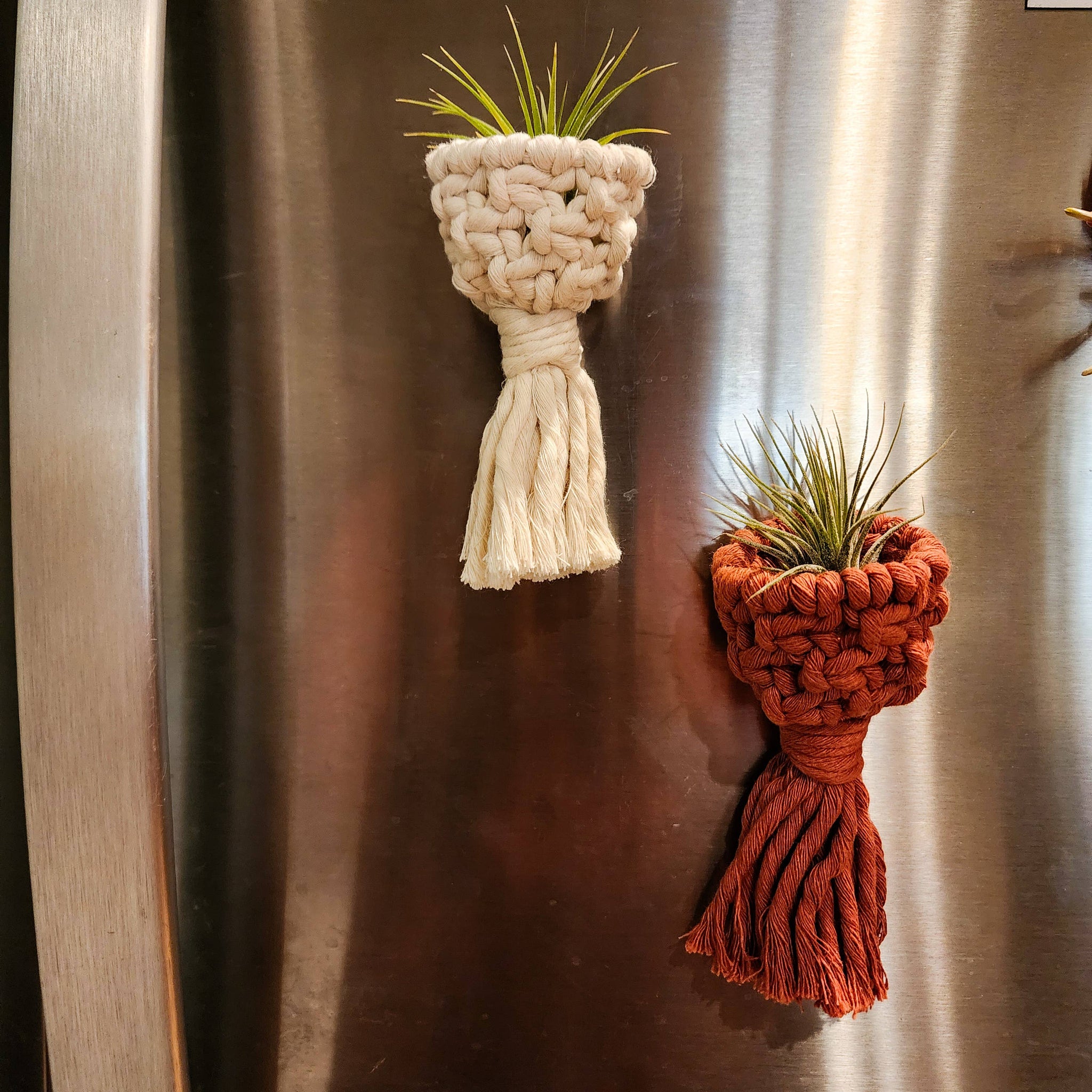 air plant hanger macrame Macramé Air Plant Holder Fridge Magnets