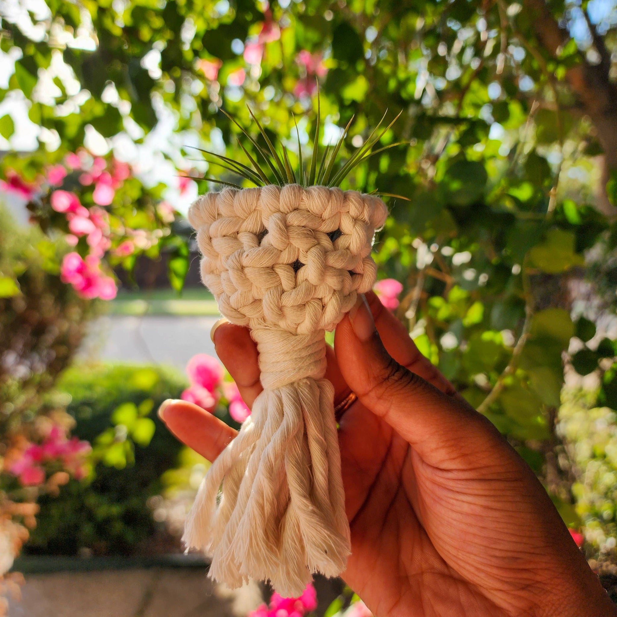 air plant macrame diy Macramé Air Plant Holder Fridge Magnets