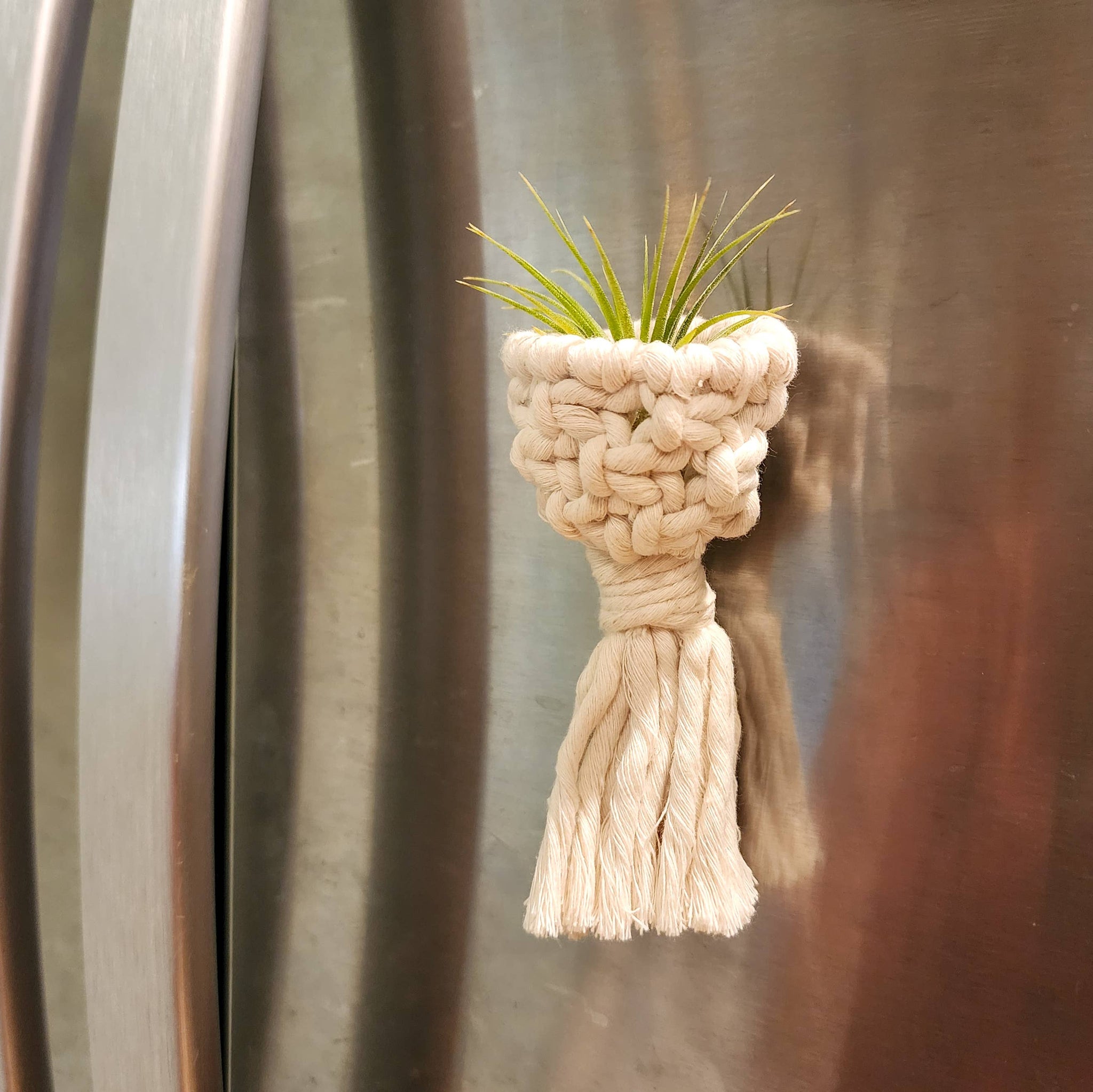 air plant hanger macrame Macramé Air Plant Holder Fridge Magnets