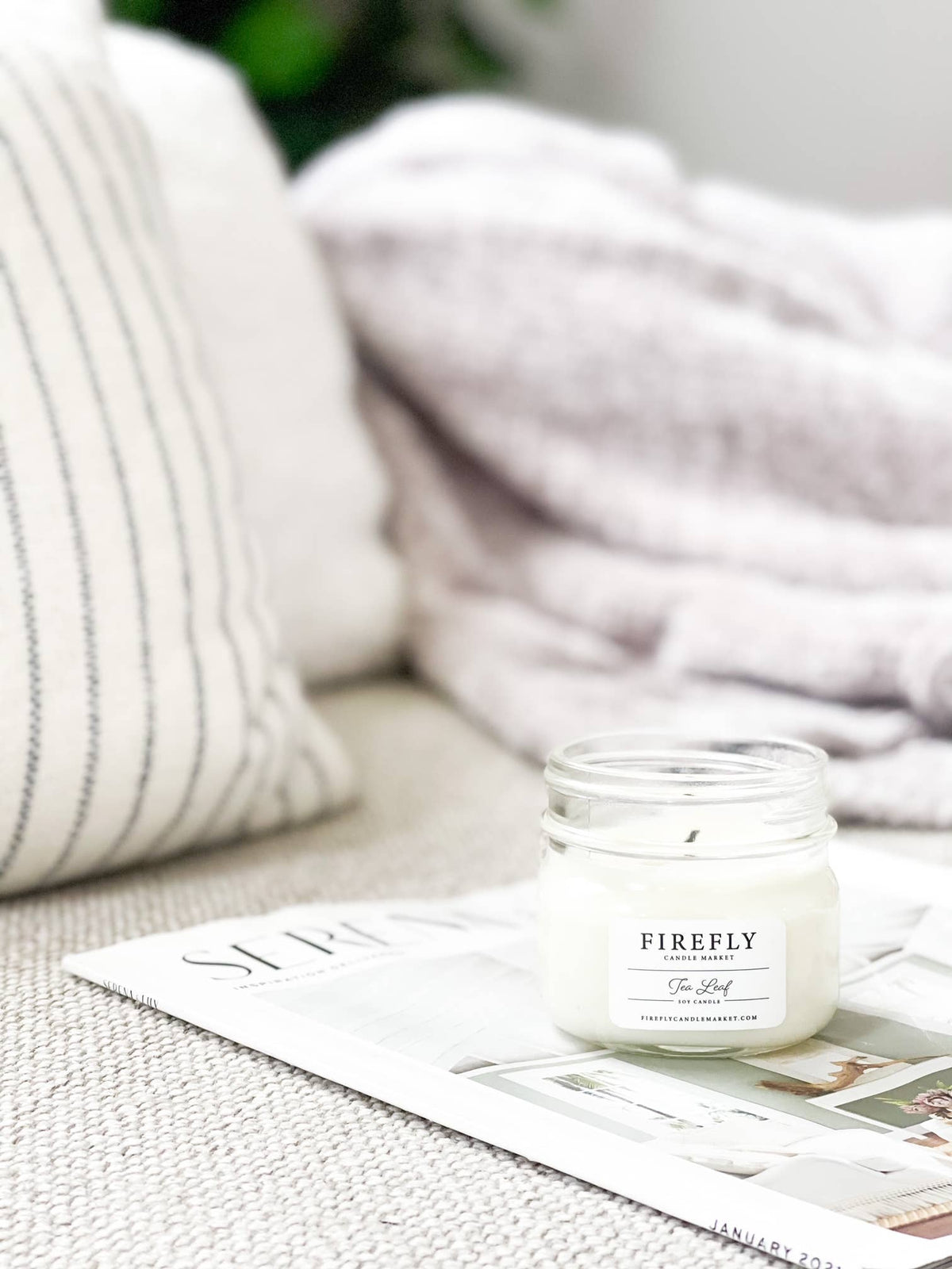 Firefly Candle Market - Tea Leaf: Small Candle