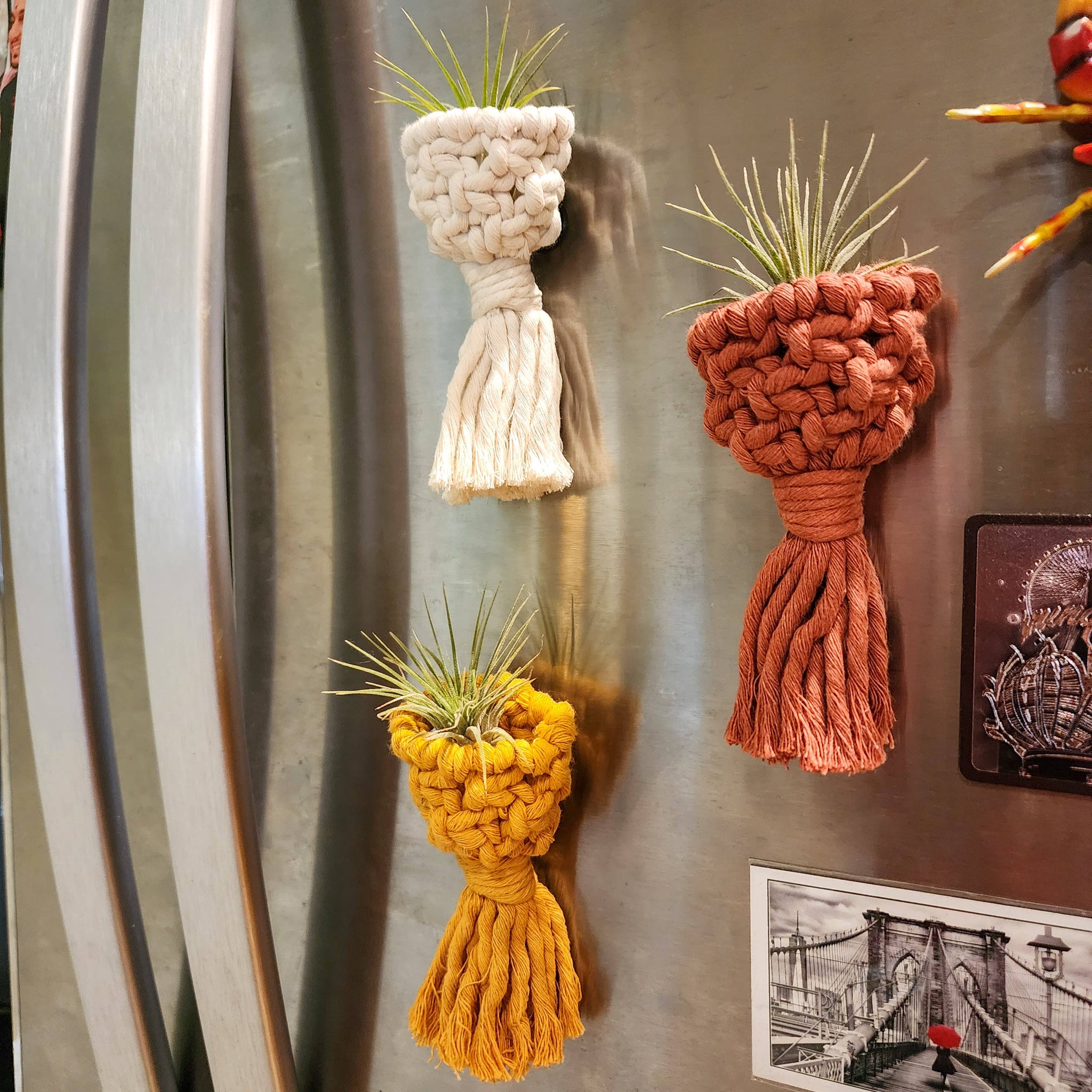 air plant magnet holder Macramé Air Plant Holder Fridge Magnets