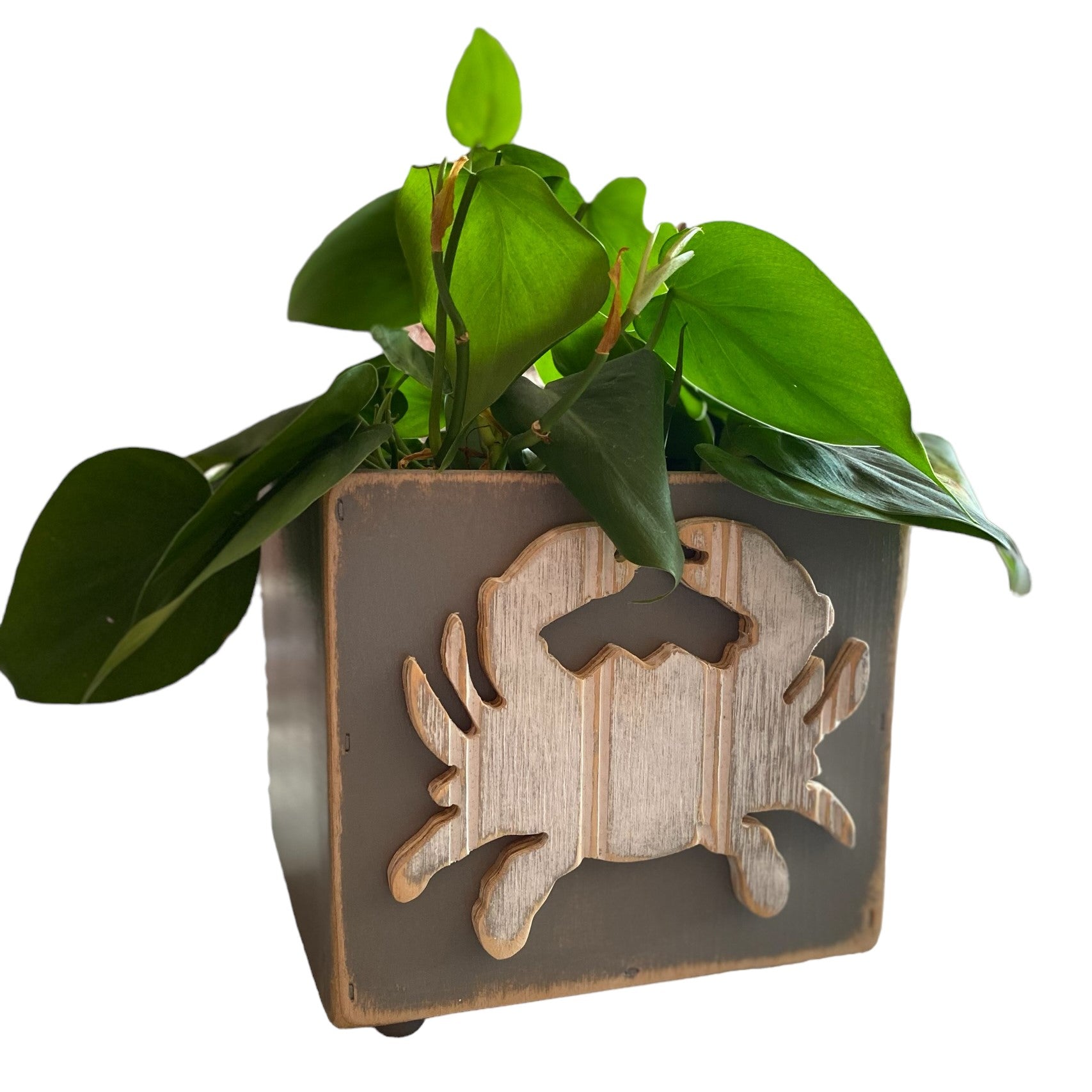 crab planter pot Crab Wooden Box Planter