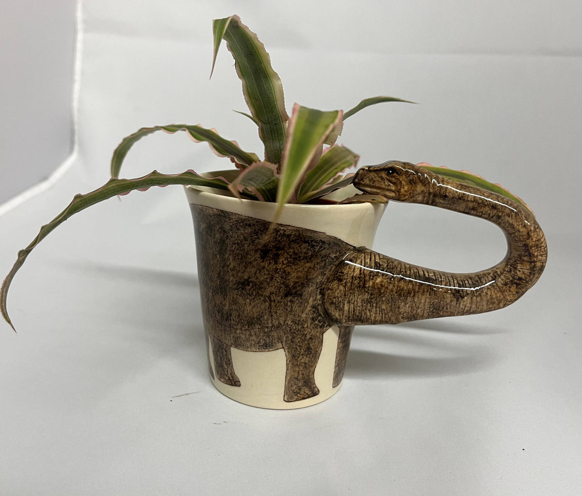 Ceramic brontosaurus mug with a plant inside on a white background