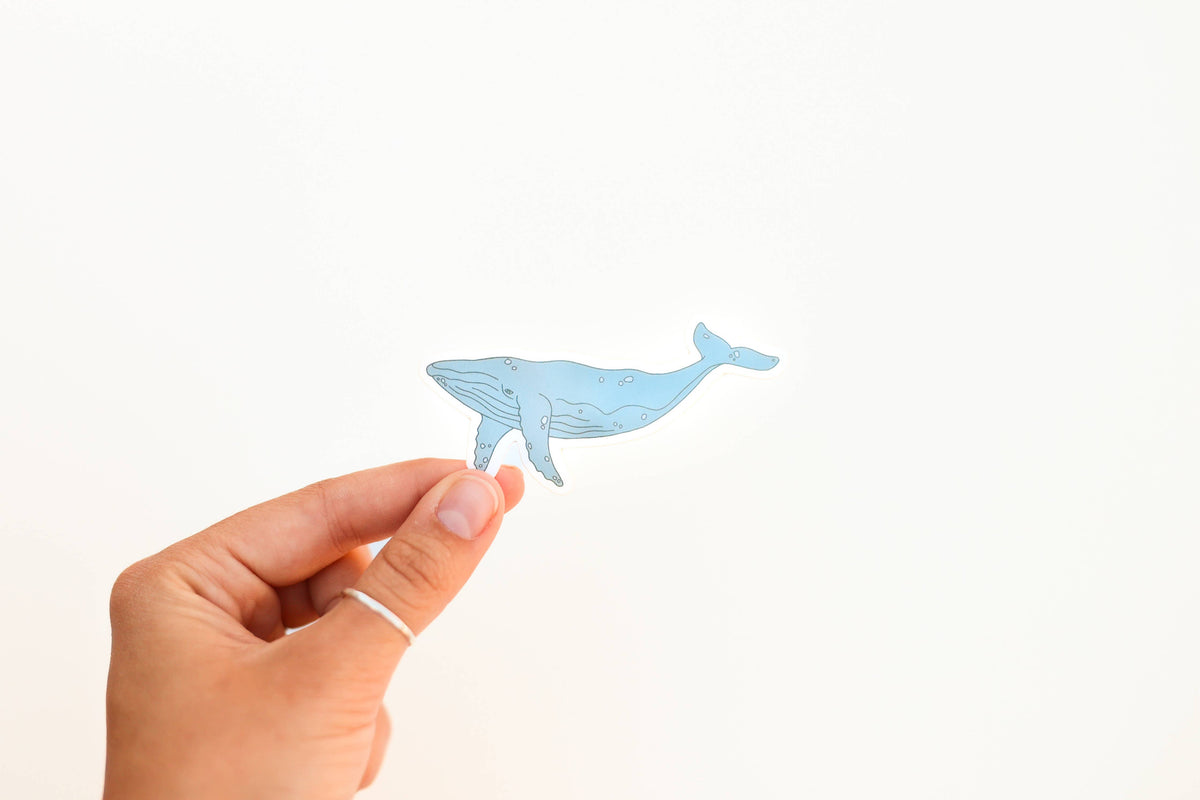 Blue Whale Sticker