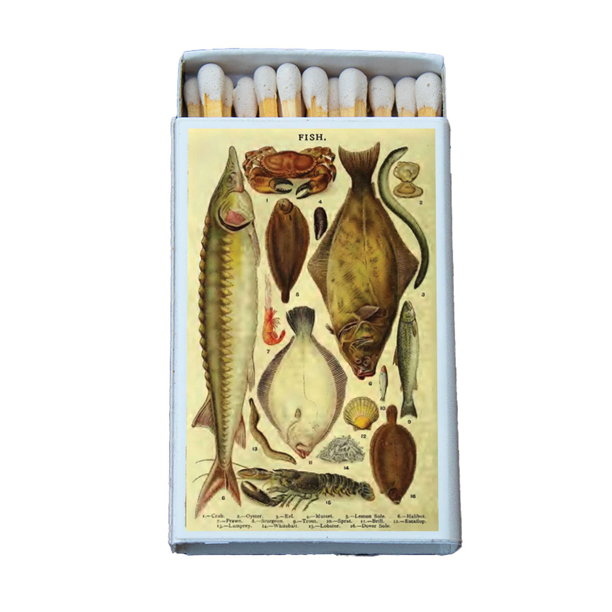 Most Amazing - Matches • Fish Variety • Home Decor for Candles and Incense