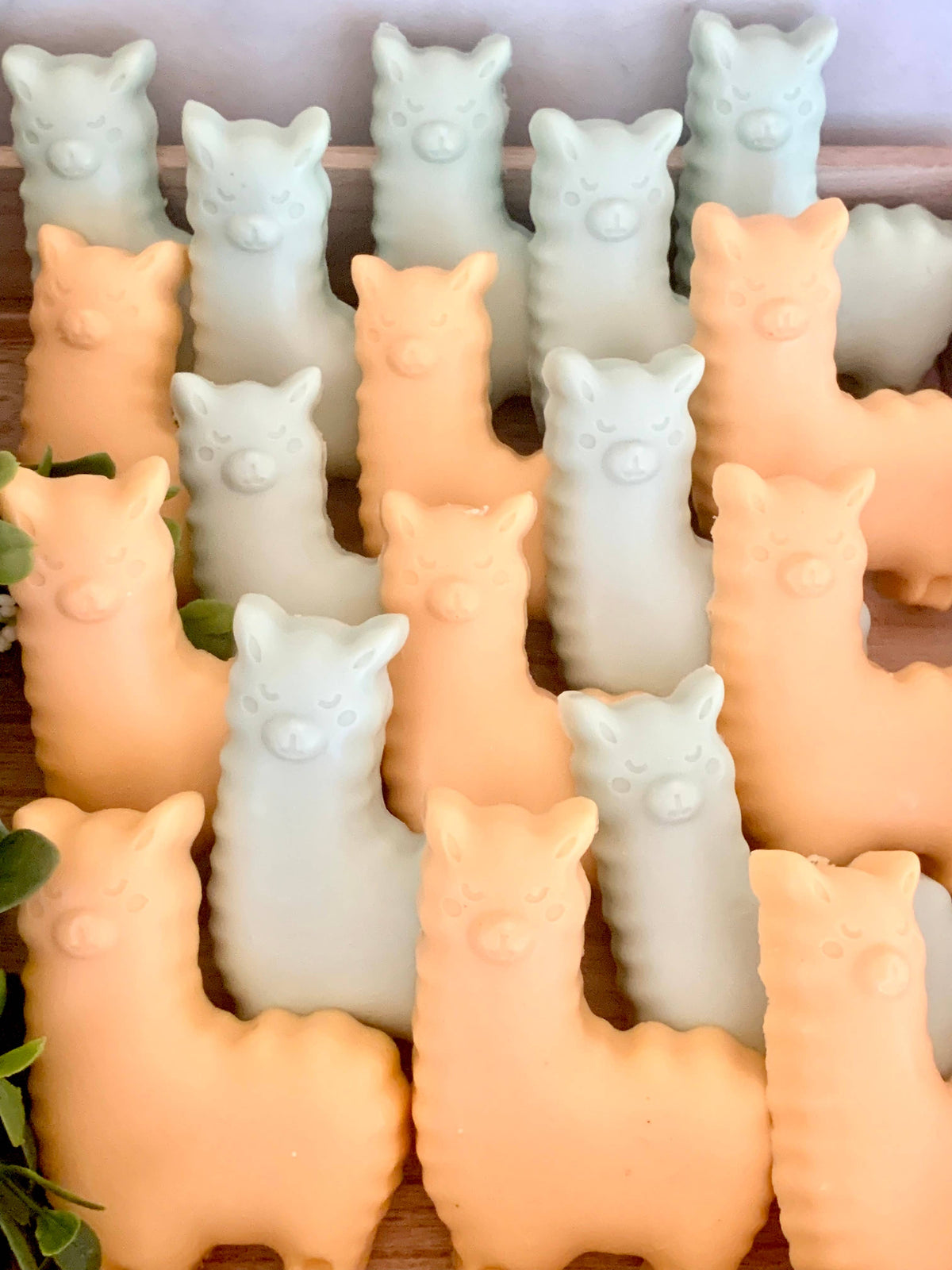 Llama Soap: Honey Shea, Light Green