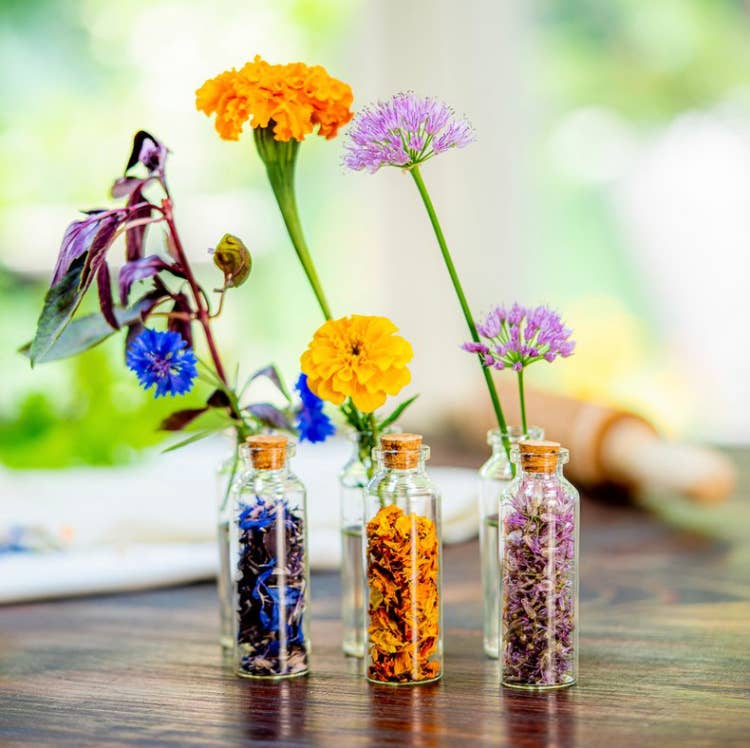 FLOUWER CO. - Edible Flower Seeds