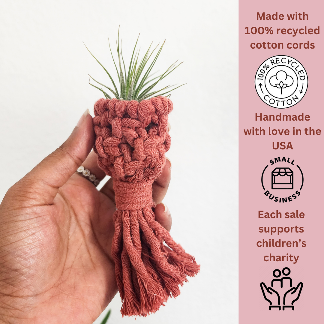 air plant magnet holder Macramé Air Plant Holder Fridge Magnets