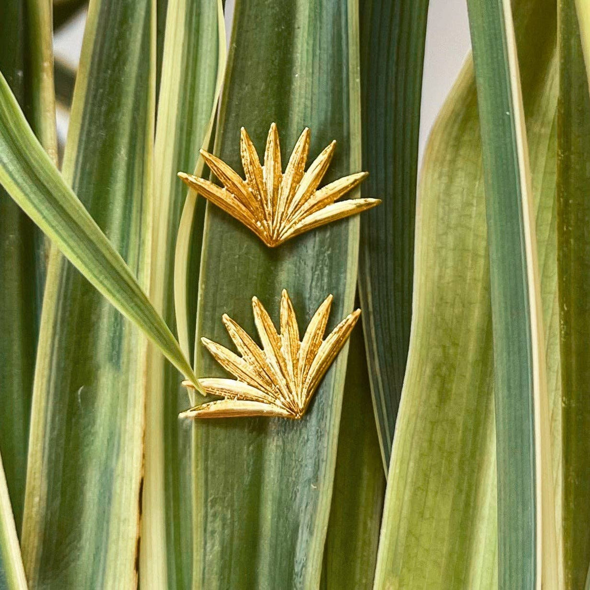 Natalie Clare Collections - Fan Palm Studs