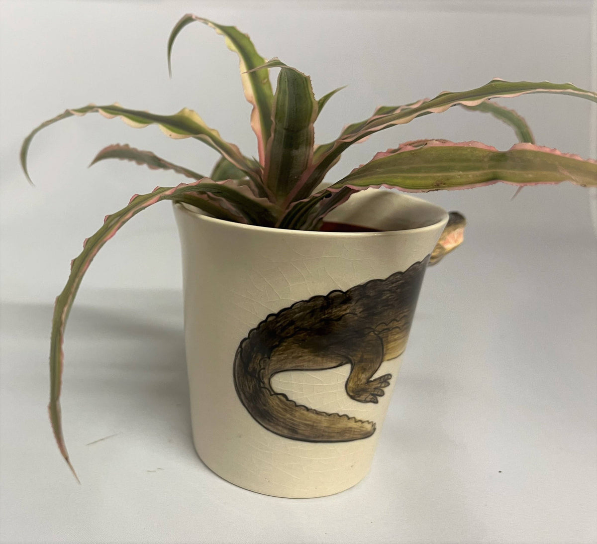 Potted plant in a ceramic pot with an alligator design on a white background