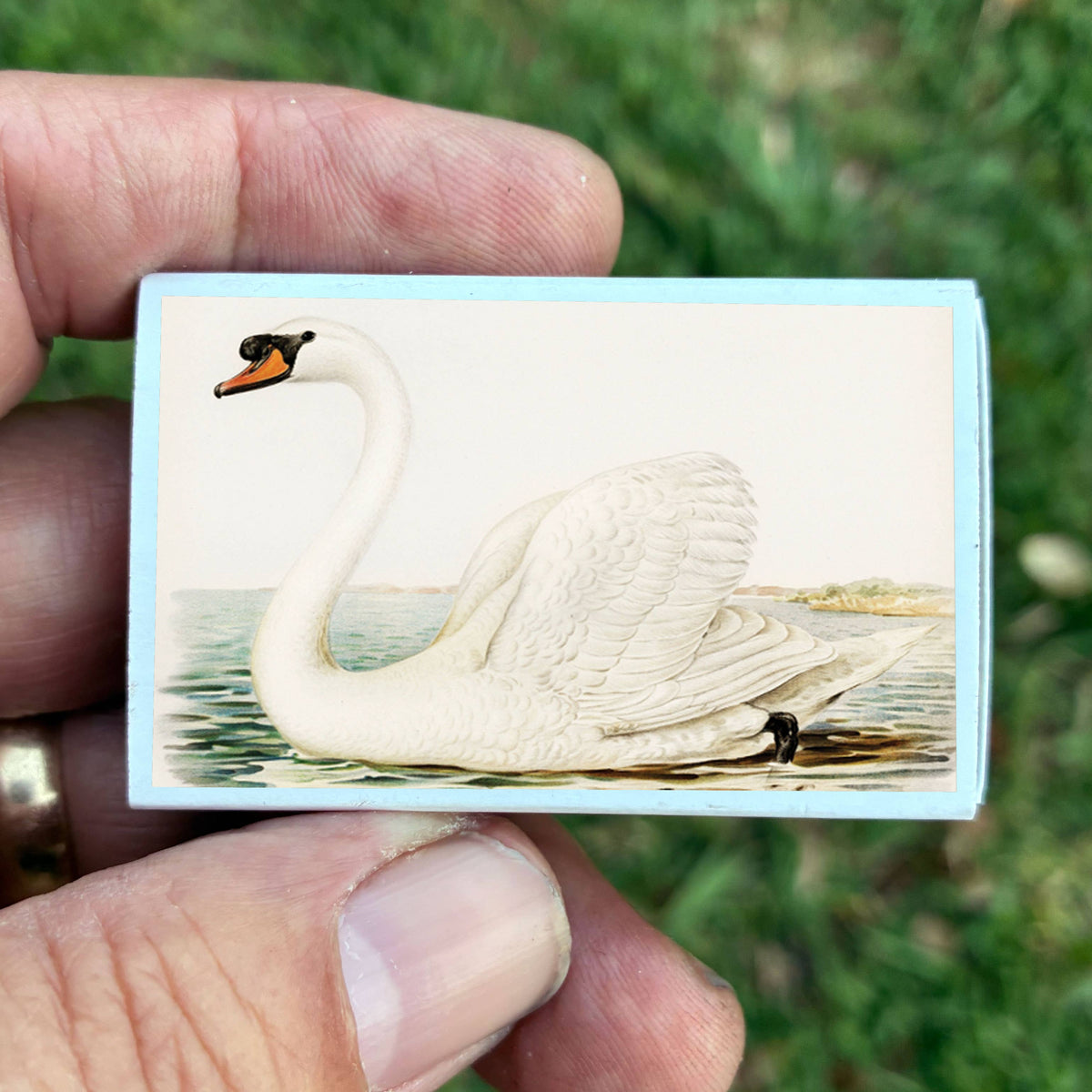 Most Amazing - Matches • Swan Matchboxes • Home Decor for Candles & Incense