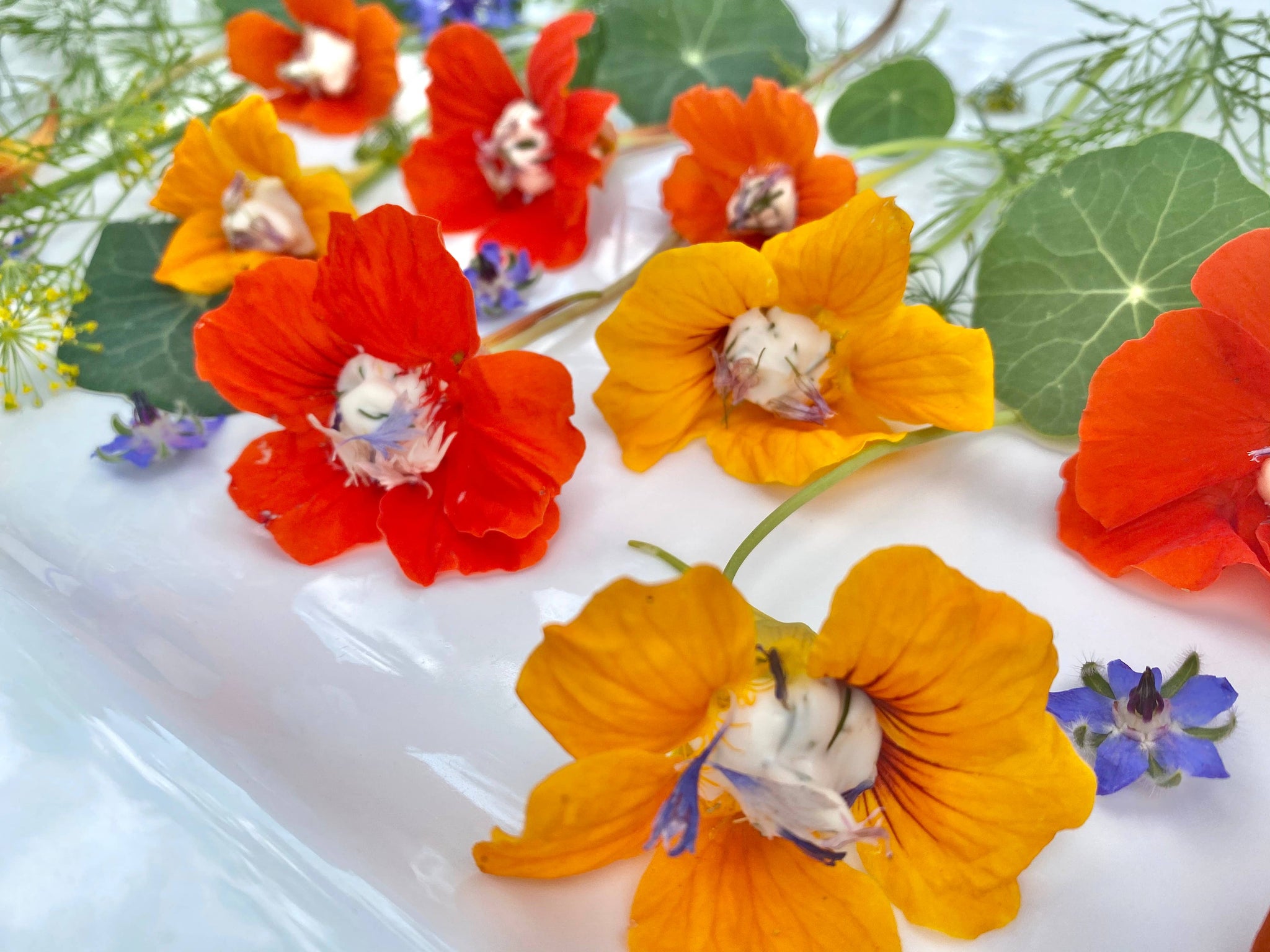 edible flower seeds Edible Flower Seeds