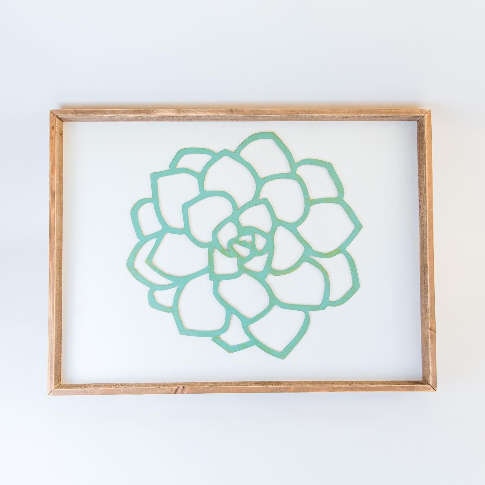 succulent wall art  grace graffiti