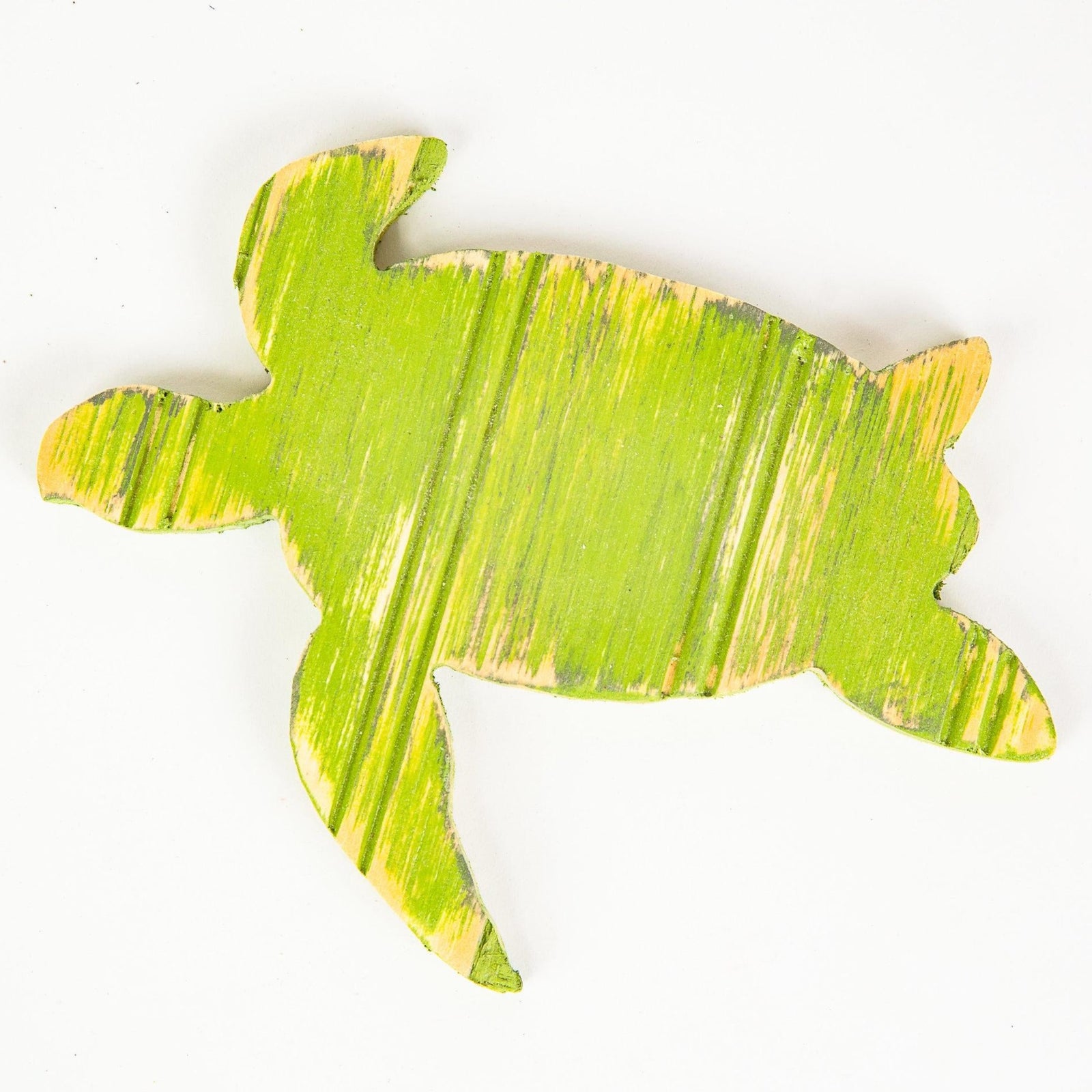 sea turtle coasters grace graffiti