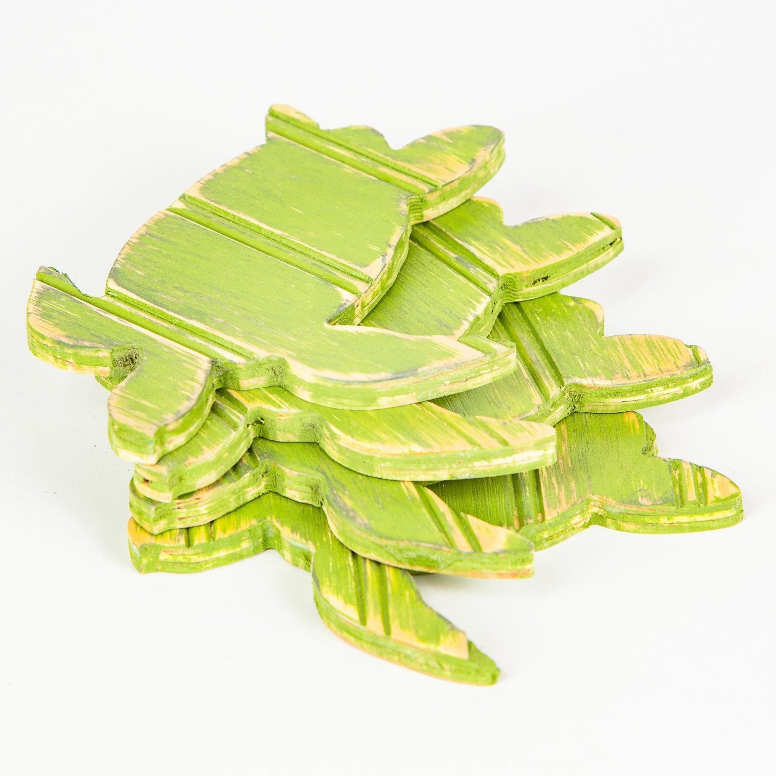 sea turtle coasters grace graffiti