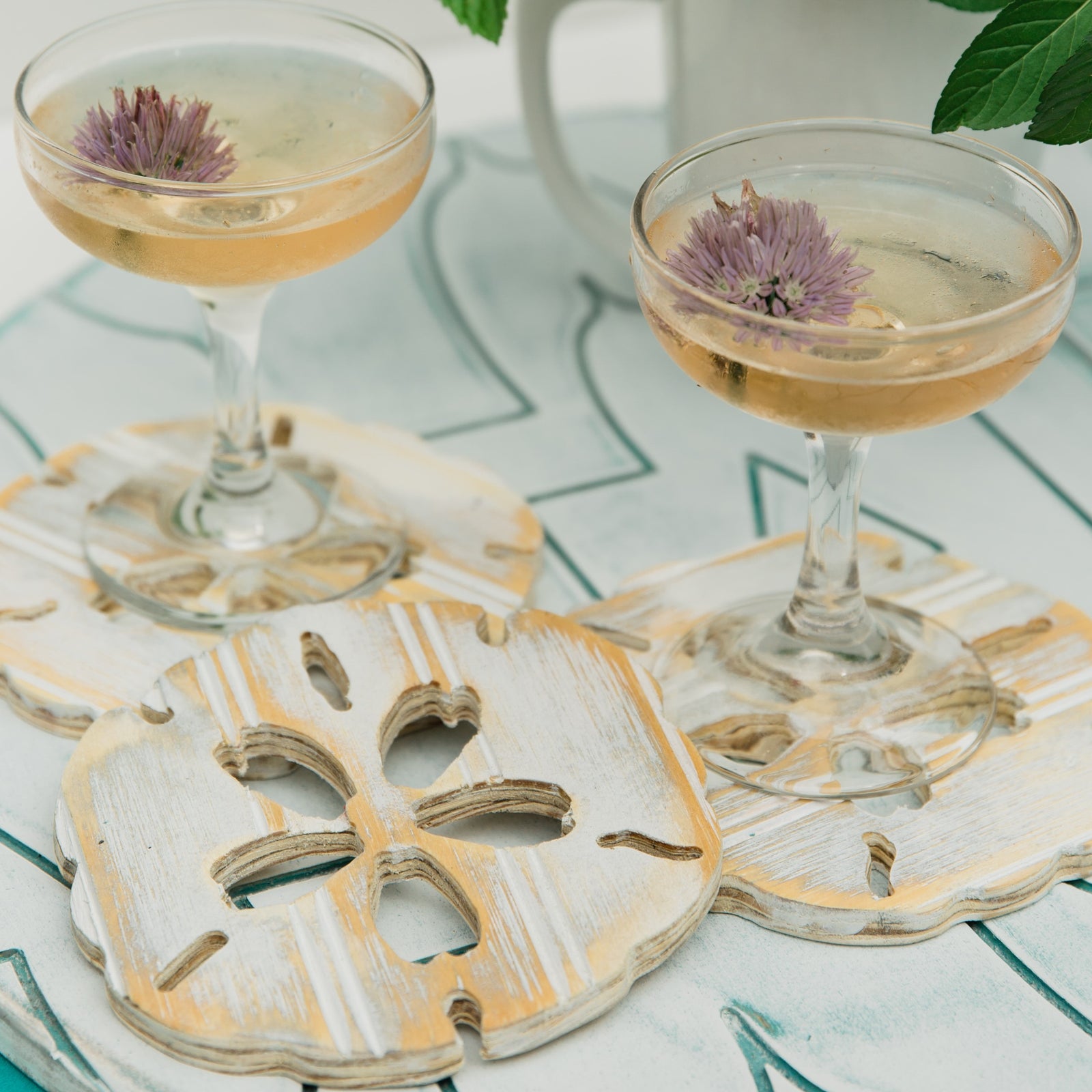 sand dollar wooden coaster | grace graffiti